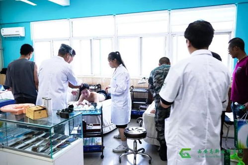 电子商务和影视动画专业