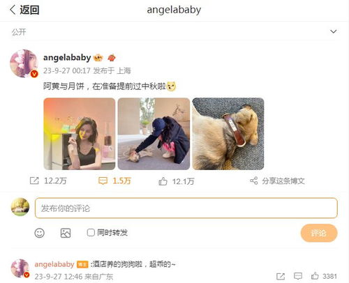 陈妍希离婚后首次晒娃，母爱如初的温暖时刻