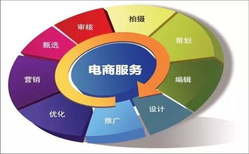 电子商务专业技能的情况