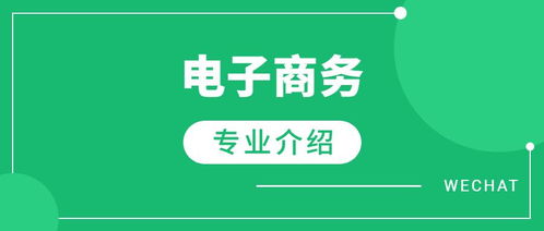 电子商务专业发展宣传片