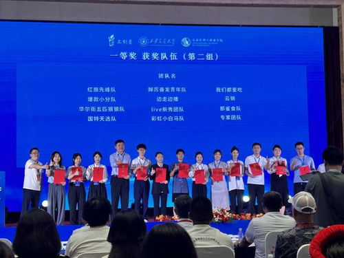 金湾电子商务专业课程